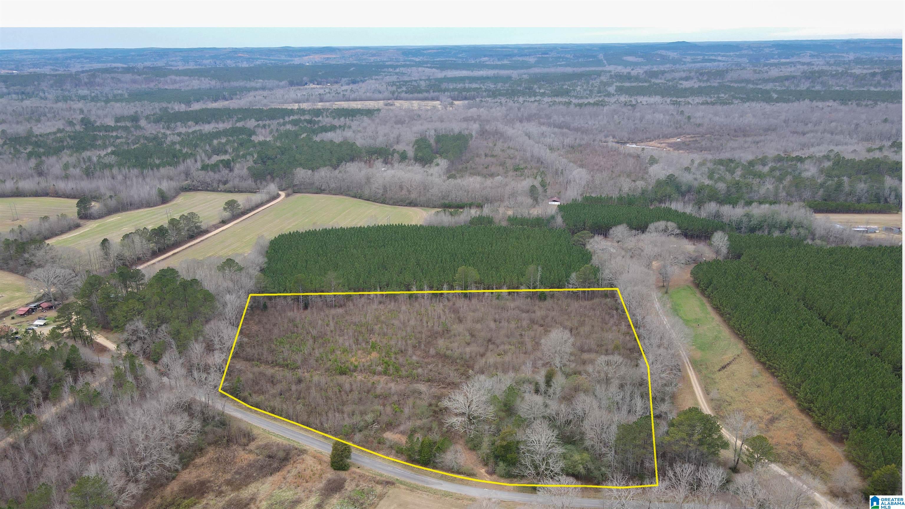 1118 North County Road, Unit WP001 Winfield, AL 35594 - Photo 1 of 17