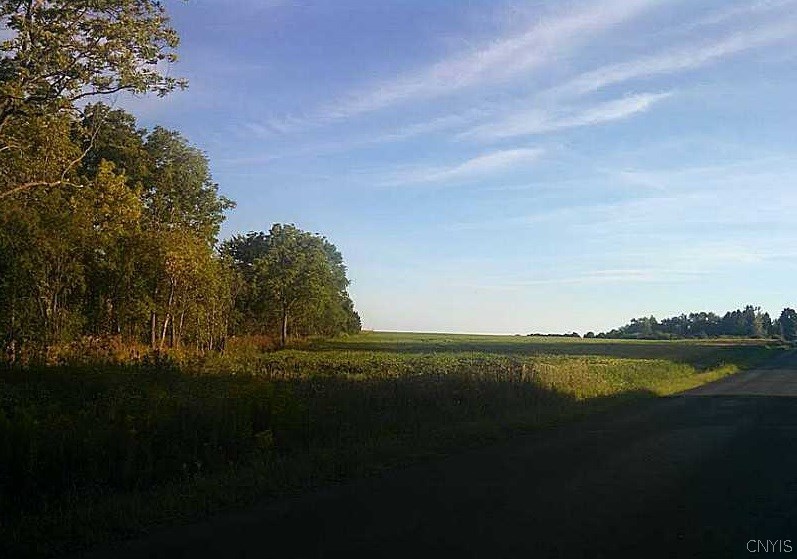 0 Oneil Road Auburn, NY 13021 - Photo 1 of 1 Gallery Image 1