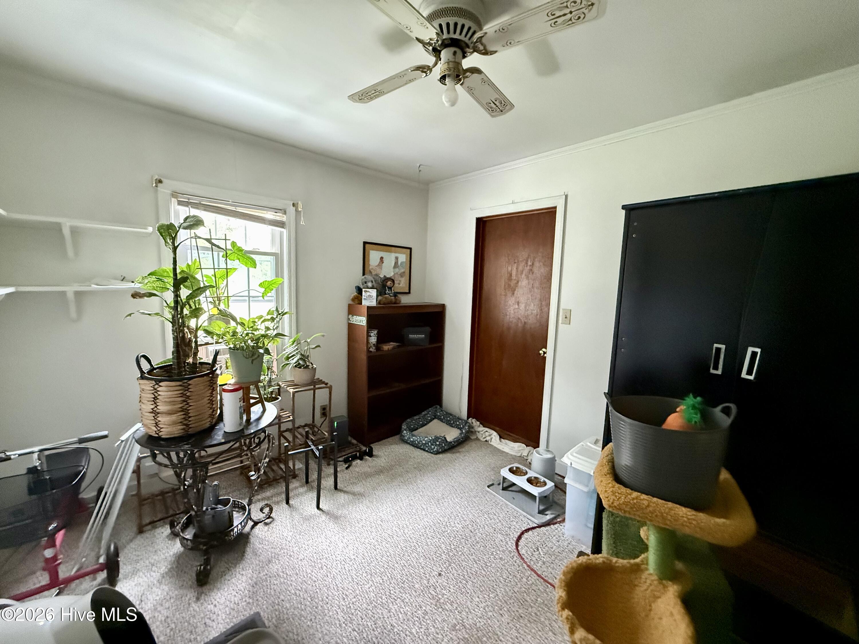 238 Old Nassau Road Smyrna, NC 28579 - Photo 18 of 32