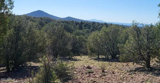 a view of a backyard of the house