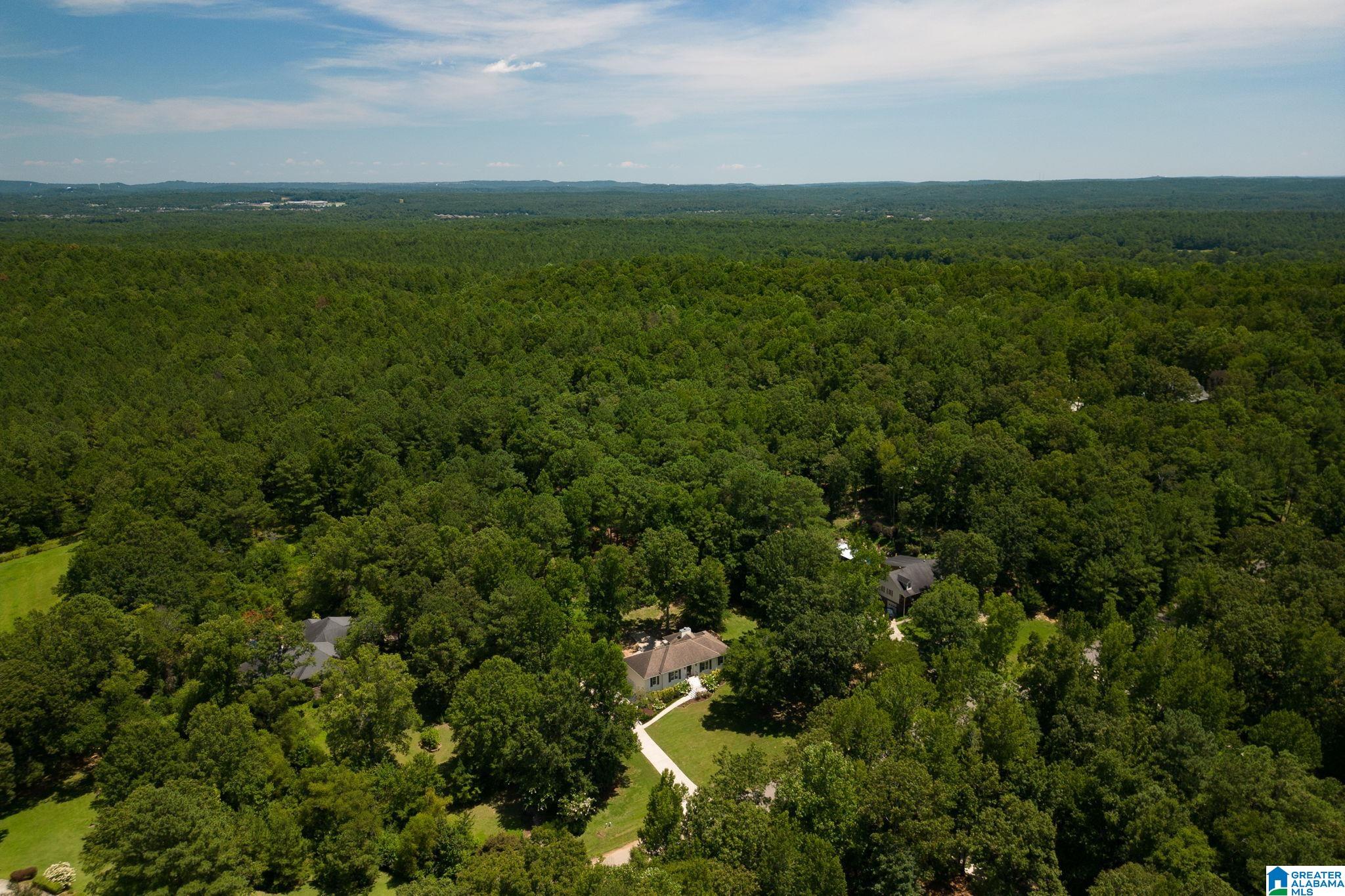 132 Chestnut Lane Helena, AL 35080 - Photo 44 of 59