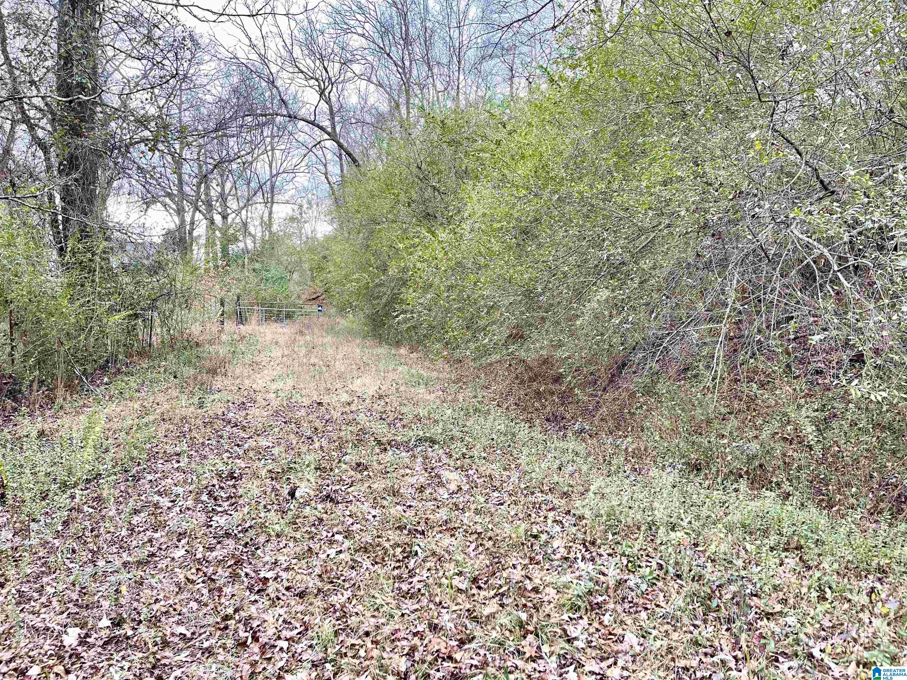 0 Parker Road Cropwell, AL 35054 - Photo 6 of 6