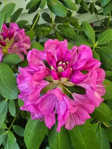 $530,000 | 2940 Eldora Court Southwest, Byron Center, MI 49315