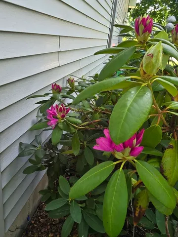 $530,000 | 2940 Eldora Court Southwest, Byron Center, MI 49315