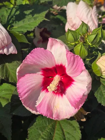 $530,000 | 2940 Eldora Court Southwest, Byron Center, MI 49315