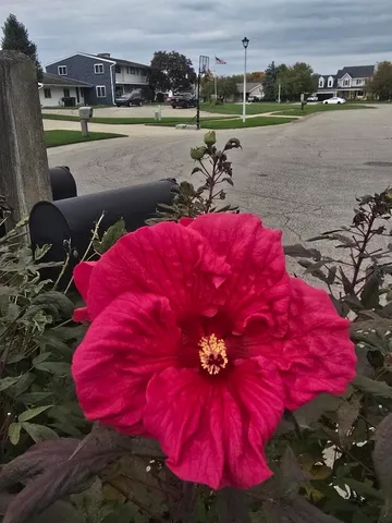 $530,000 | 2940 Eldora Court Southwest, Byron Center, MI 49315