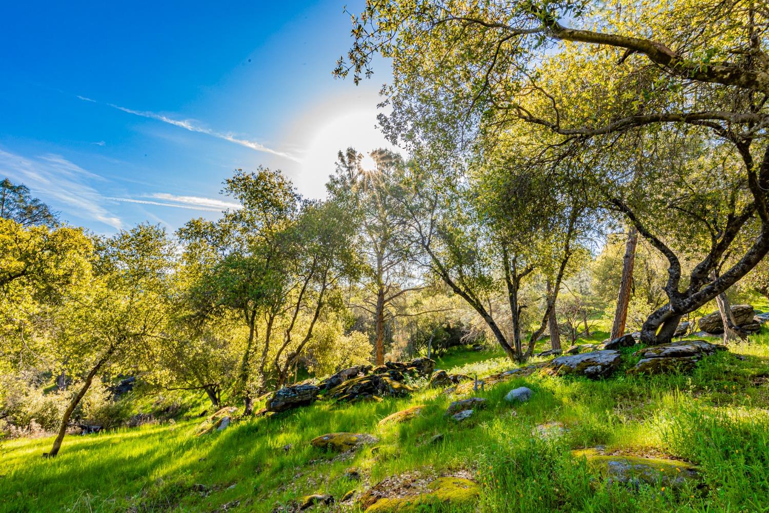 36783 Batti Road Coarsegold, CA 93614 - Photo 54 of 59 Gallery Image 54