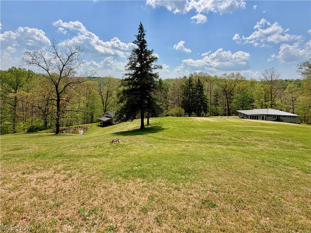 2163 Bull Run Road Waverly, WV 26184 - Photo 5 of 47