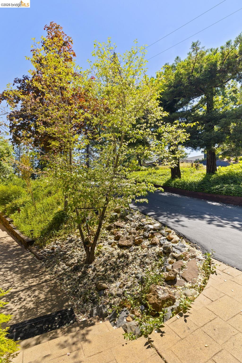 20581 Gerber Road Tuolumne, CA 95379 - Photo 49 of 60 View of yard