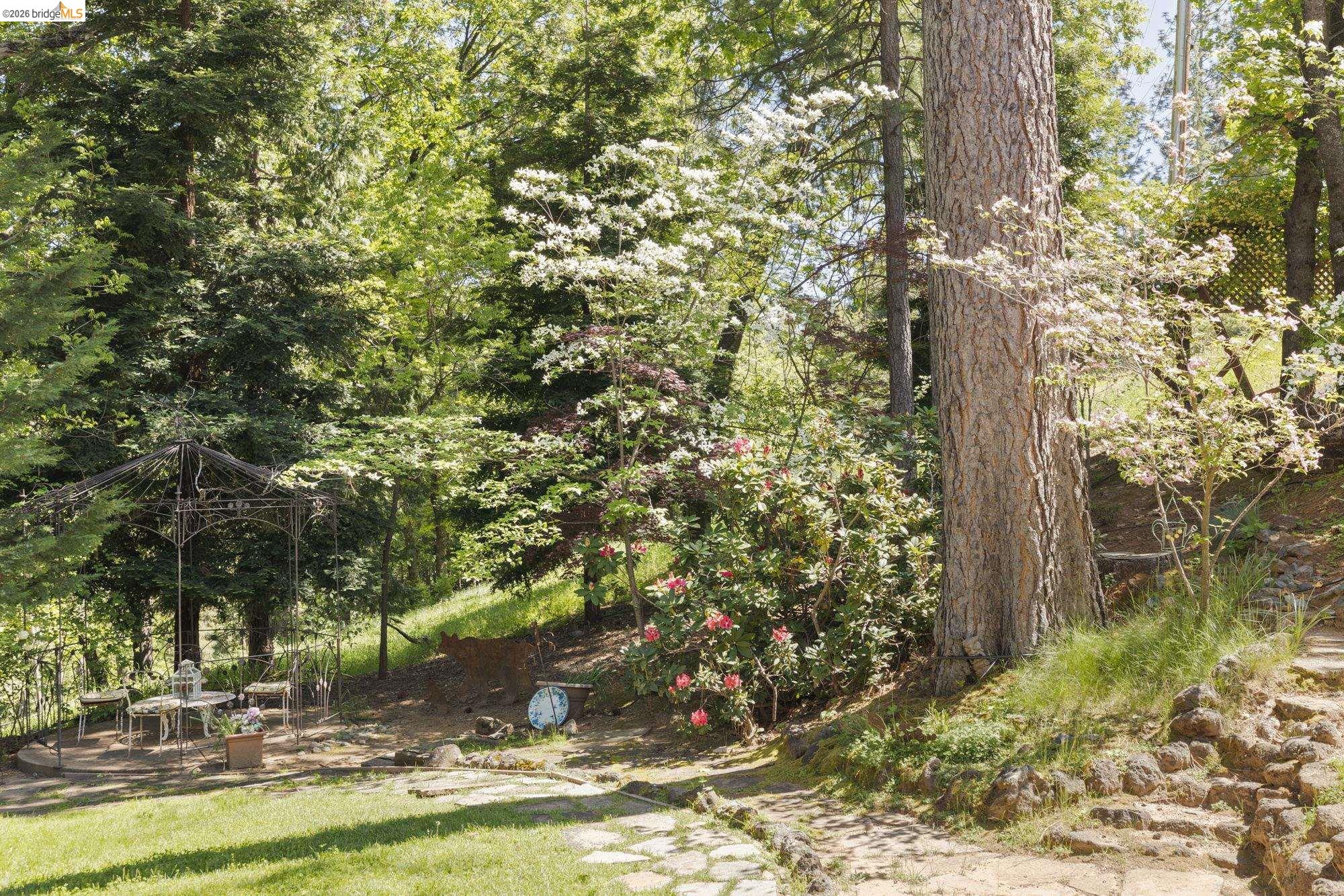 20581 Gerber Road Tuolumne, CA 95379 - Photo 55 of 60 View of yard featuring a wooded view