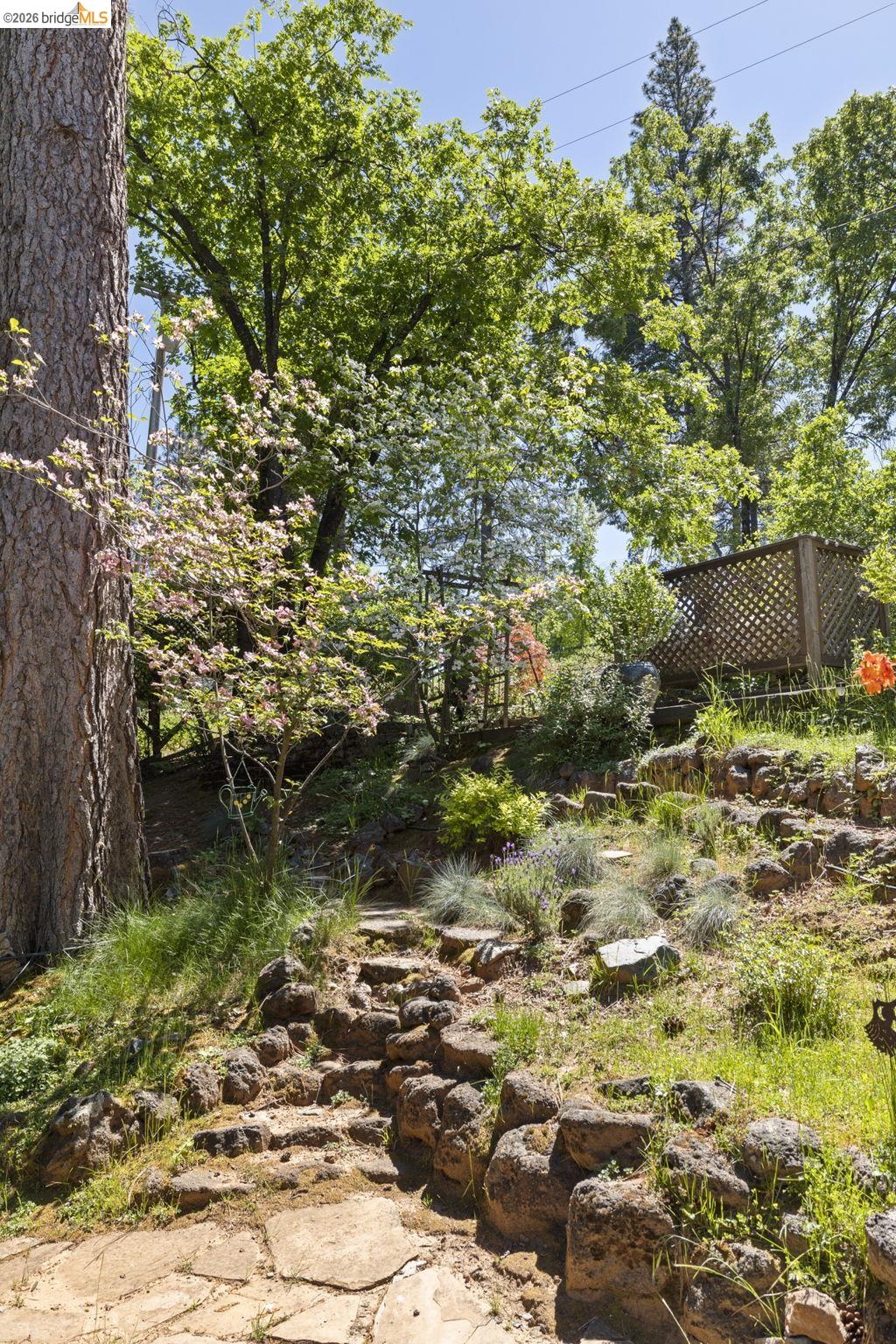 20581 Gerber Road Tuolumne, CA 95379 - Photo 57 of 60 View of wooded area