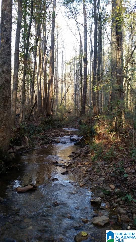 0 County Road 654 Muscadine, AL 36269 - Photo 1 of 9