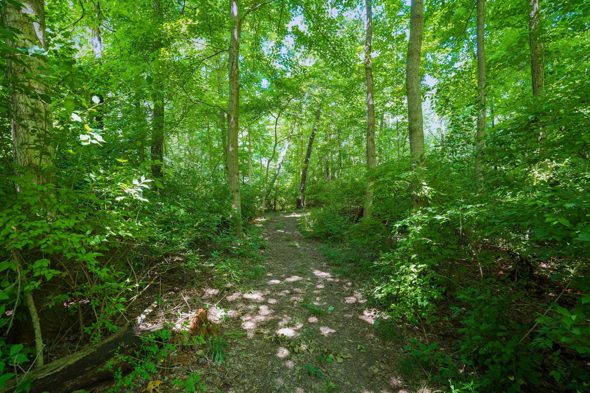 4595 St James Road Waldo, OH 43356 - Photo 27 of 83 51-web-or-mls-DSC08103