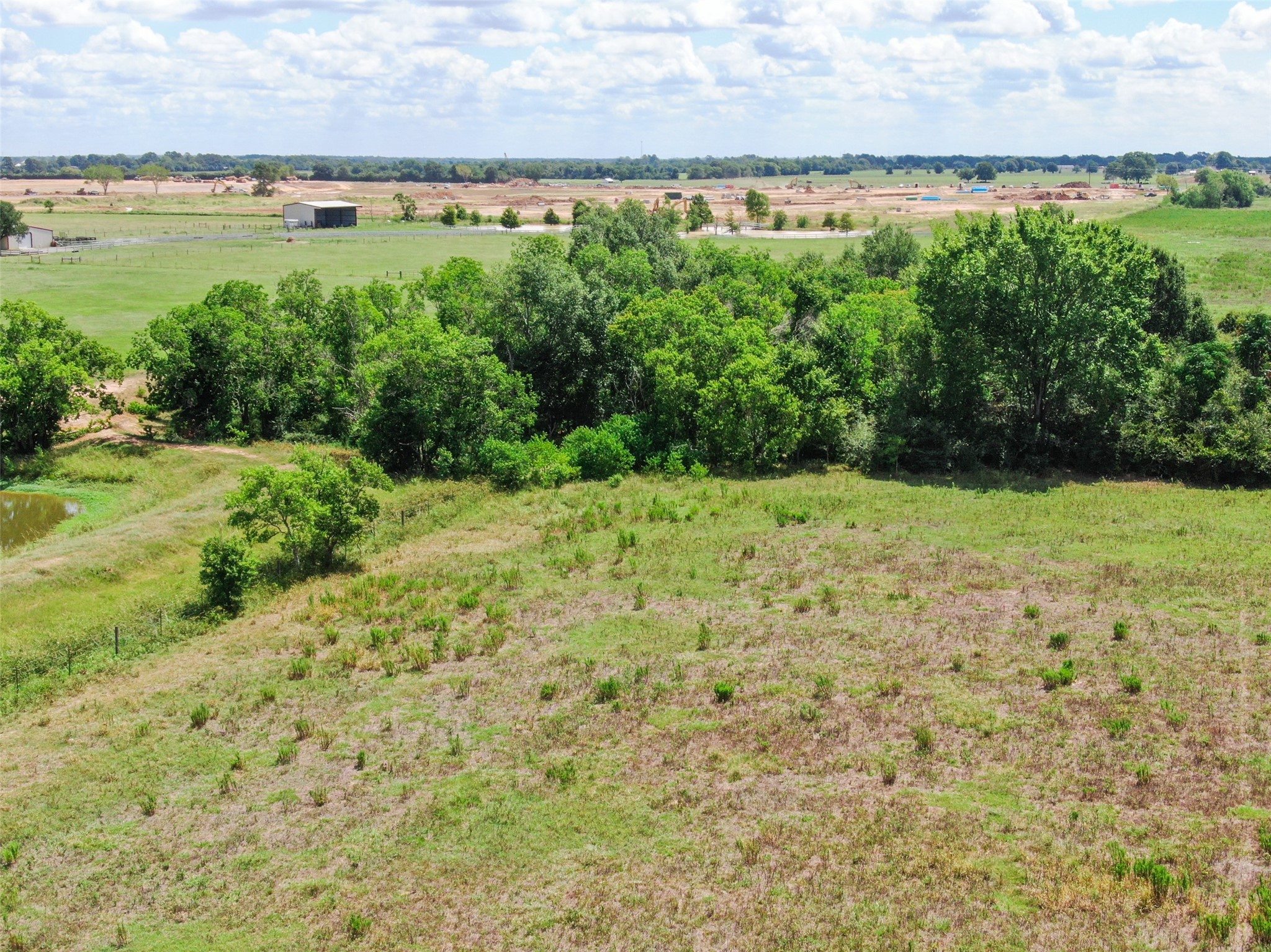 98-ac Field Store Road Waller, TX 77484 - Photo 13 of 13