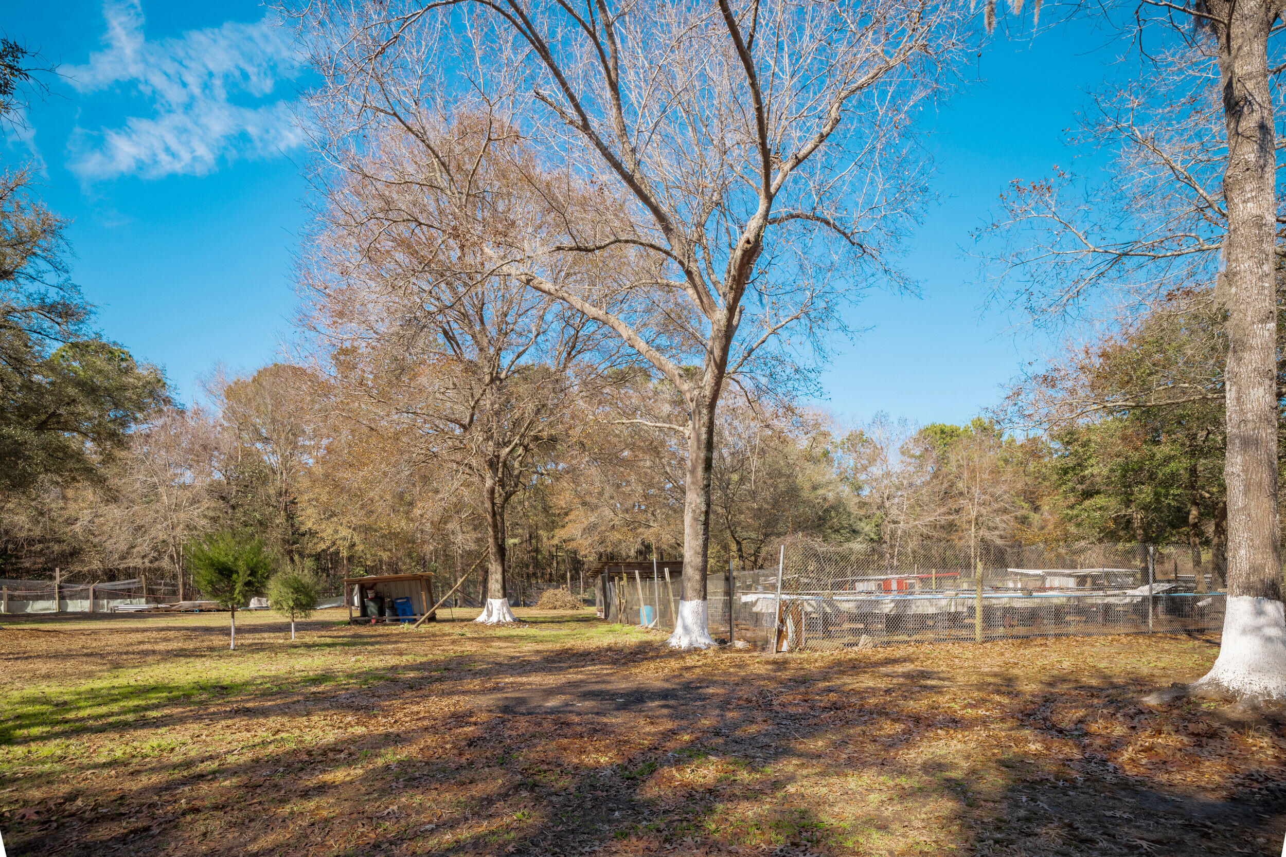 4294 River Road Johns Island, SC 29455 - Photo 46 of 64 25_4294 river rd _mgc7070
