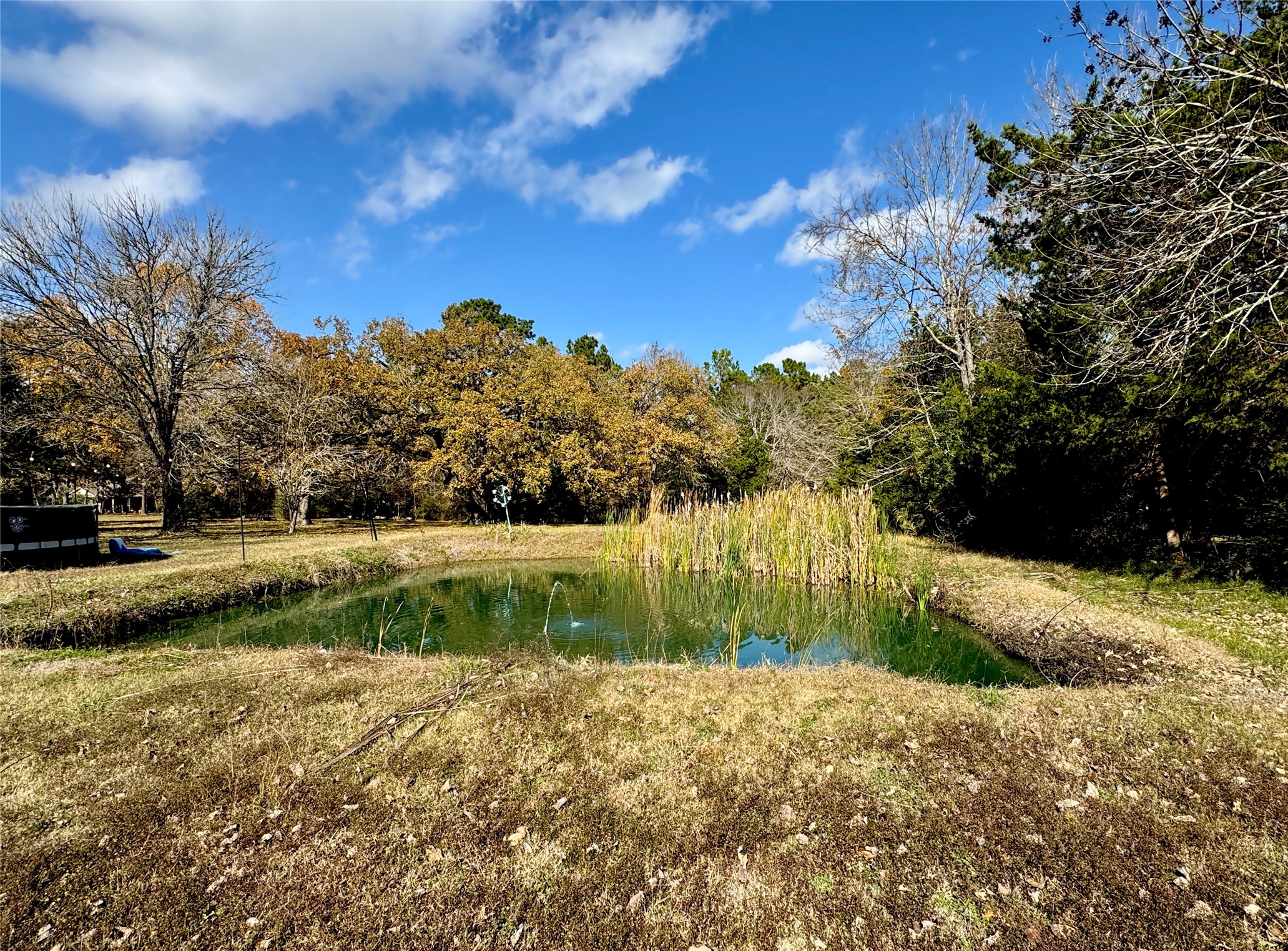 307 Deerwood Drive Trinity, TX 75862 - Photo 2 of 27 If you love nature, this is going to be your home. It's your own little slice of heaven!