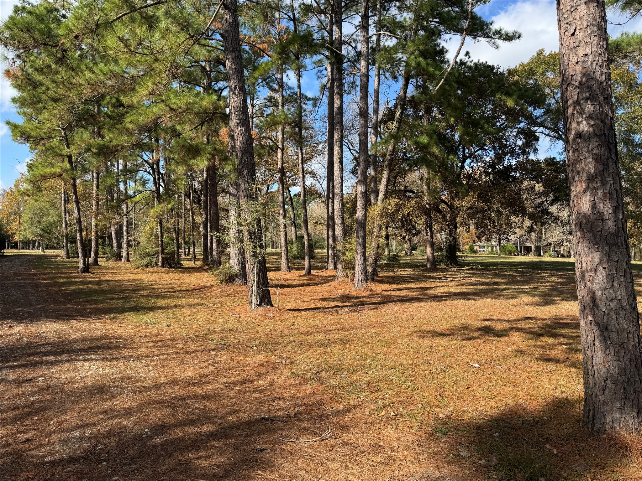 307 Deerwood Drive Trinity, TX 75862 - Photo 4 of 27 This is one of those homes you actually have to visit to understand its full potential. The garage space is AMAZING! More on that coming up!