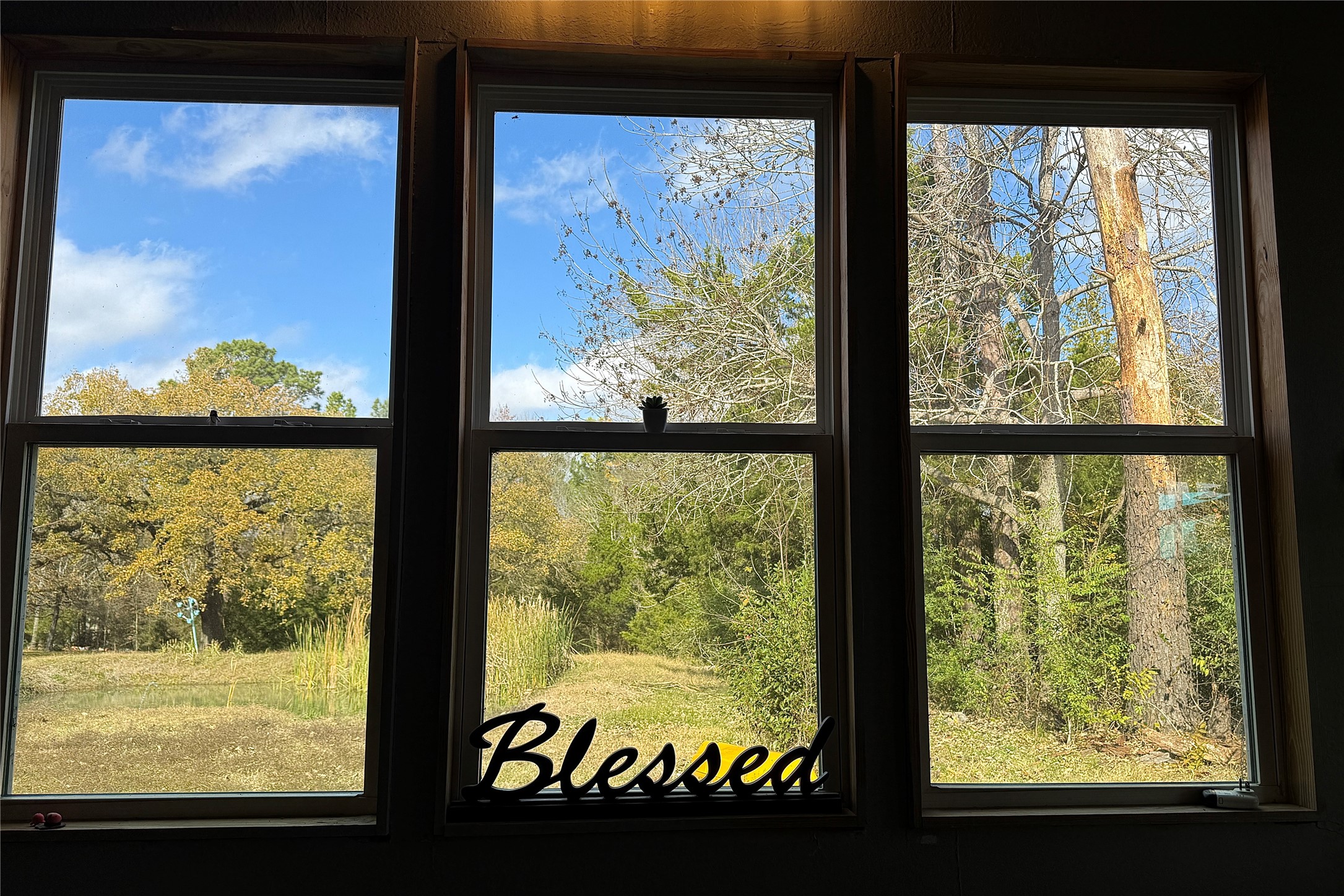 307 Deerwood Drive Trinity, TX 75862 - Photo 8 of 27 The kitchen and dining rooms have the BEST VIEW EVER!!