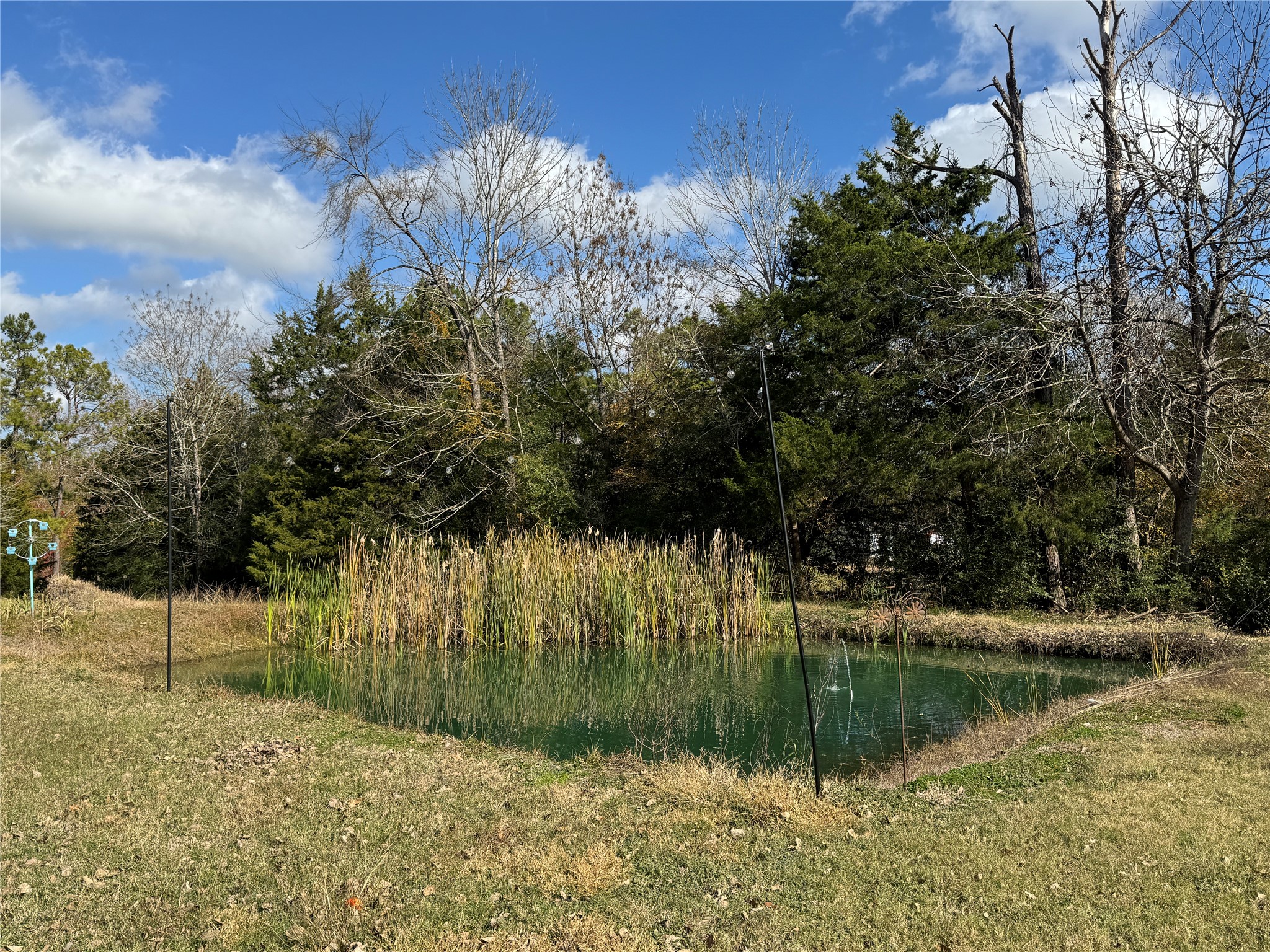 307 Deerwood Drive Trinity, TX 75862 - Photo 9 of 27 Bring on the wildlife!
