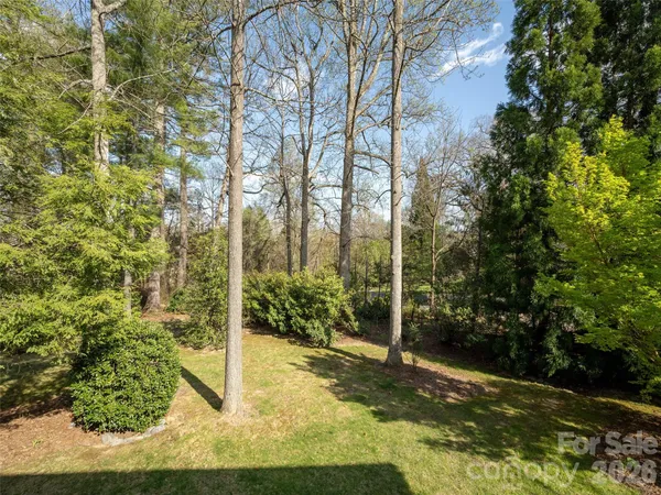 a view of a yard with plants and trees