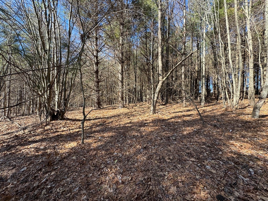 Tbd Chances Creek Road Fancy Gap, VA 24328 - Photo 14 of 17 Gallery Image 14