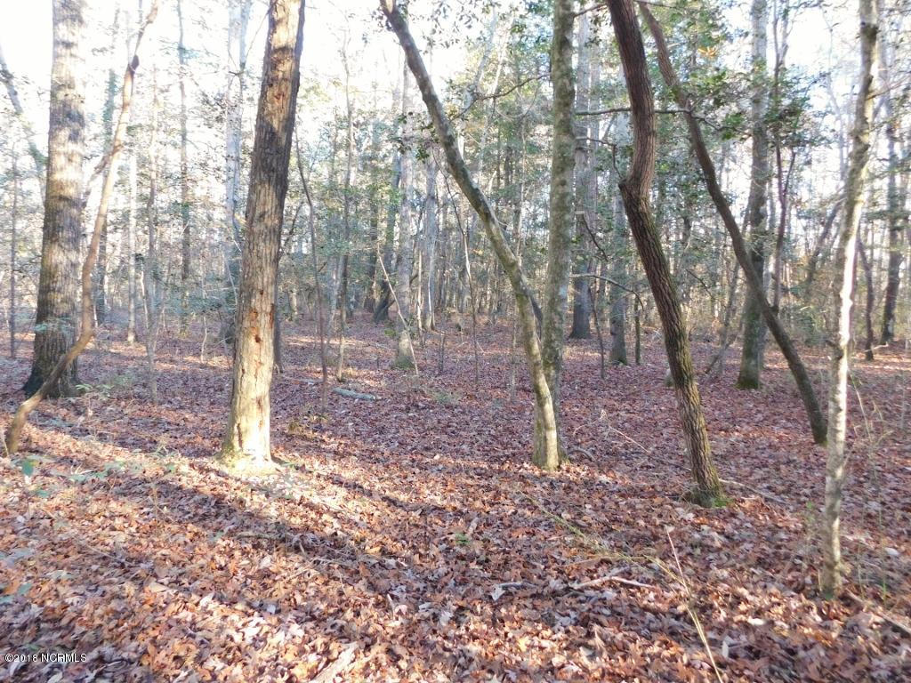 26.89 Bynum Farm Road Pinetops, NC 27864 - Photo 33 of 43 33 (1024x768)
