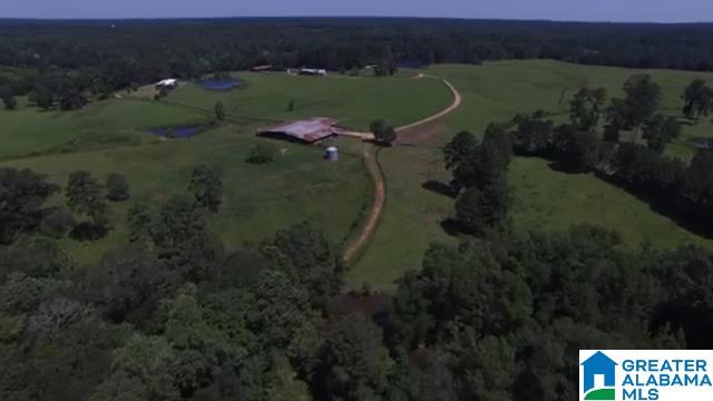 1854 Claud Fleahop Road, Unit 129 4 Eclectic, AL 36024 - Photo 32 of 50
