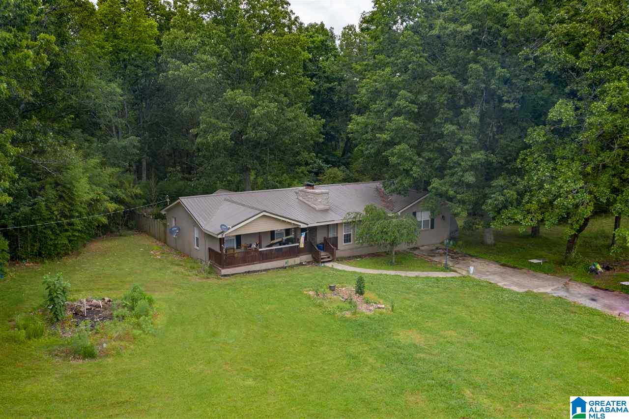 246 Wilson Mountain Road Falkville, AL 35622 - Photo 6 of 11