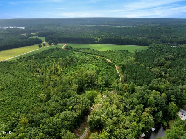 a view of a field with an ocean