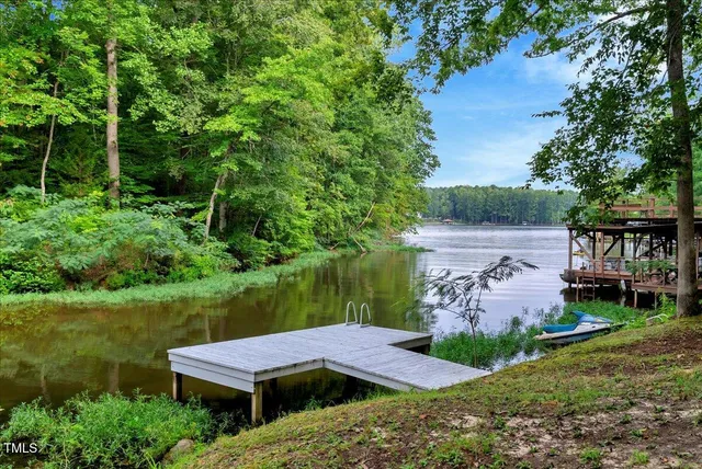 a view of a backyard with plants and lake