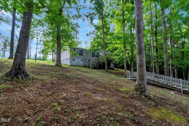 a view of a yard with large trees