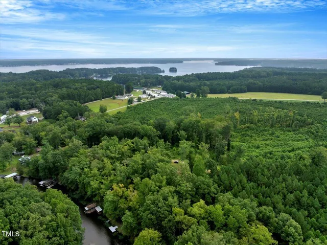 a view of a green field with lots of bushes