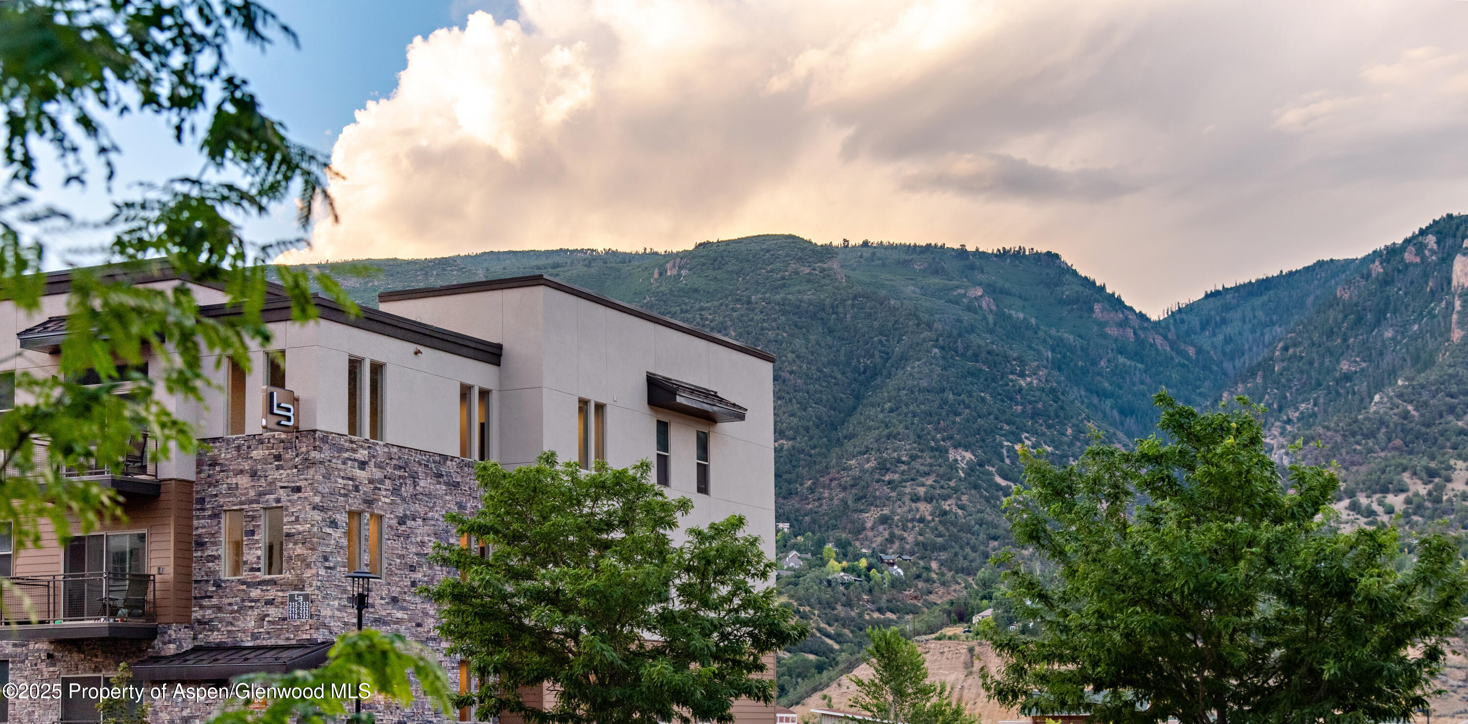 253 Wulfsohn Road, Unit 326 Glenwood Springs, CO 81601 - Photo 41 of 41 a view of a house with a yard and potted plants