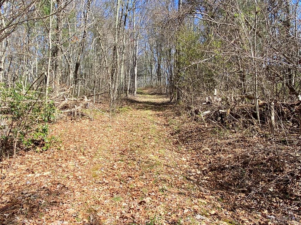 0 Salt Rock Road Highlands, NC 28741 - Photo 16 of 21 Gallery Image 16