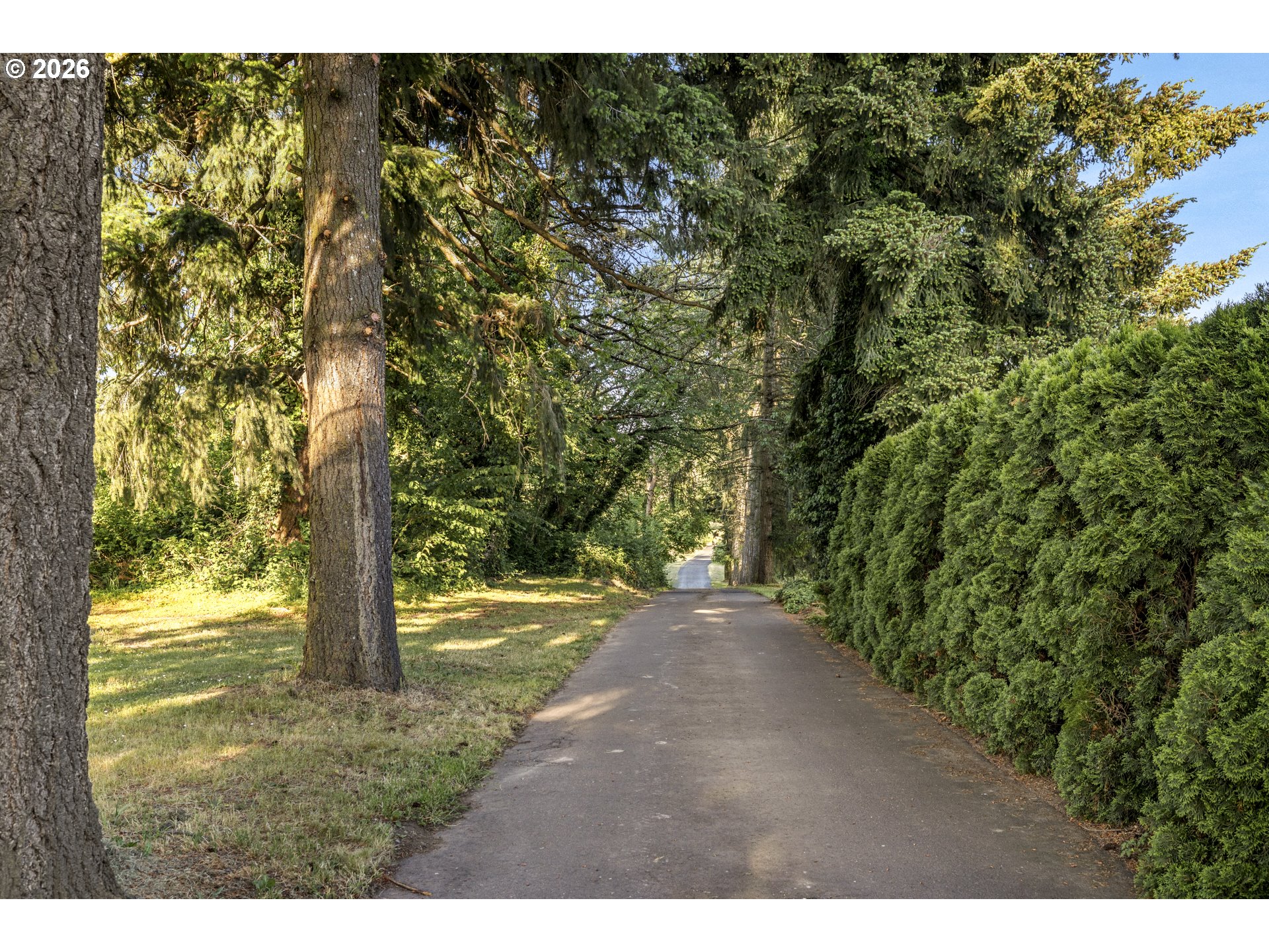 4515 Cordon Road Northeast Salem, OR 97305 - Photo 37 of 48 a view of a yard with trees