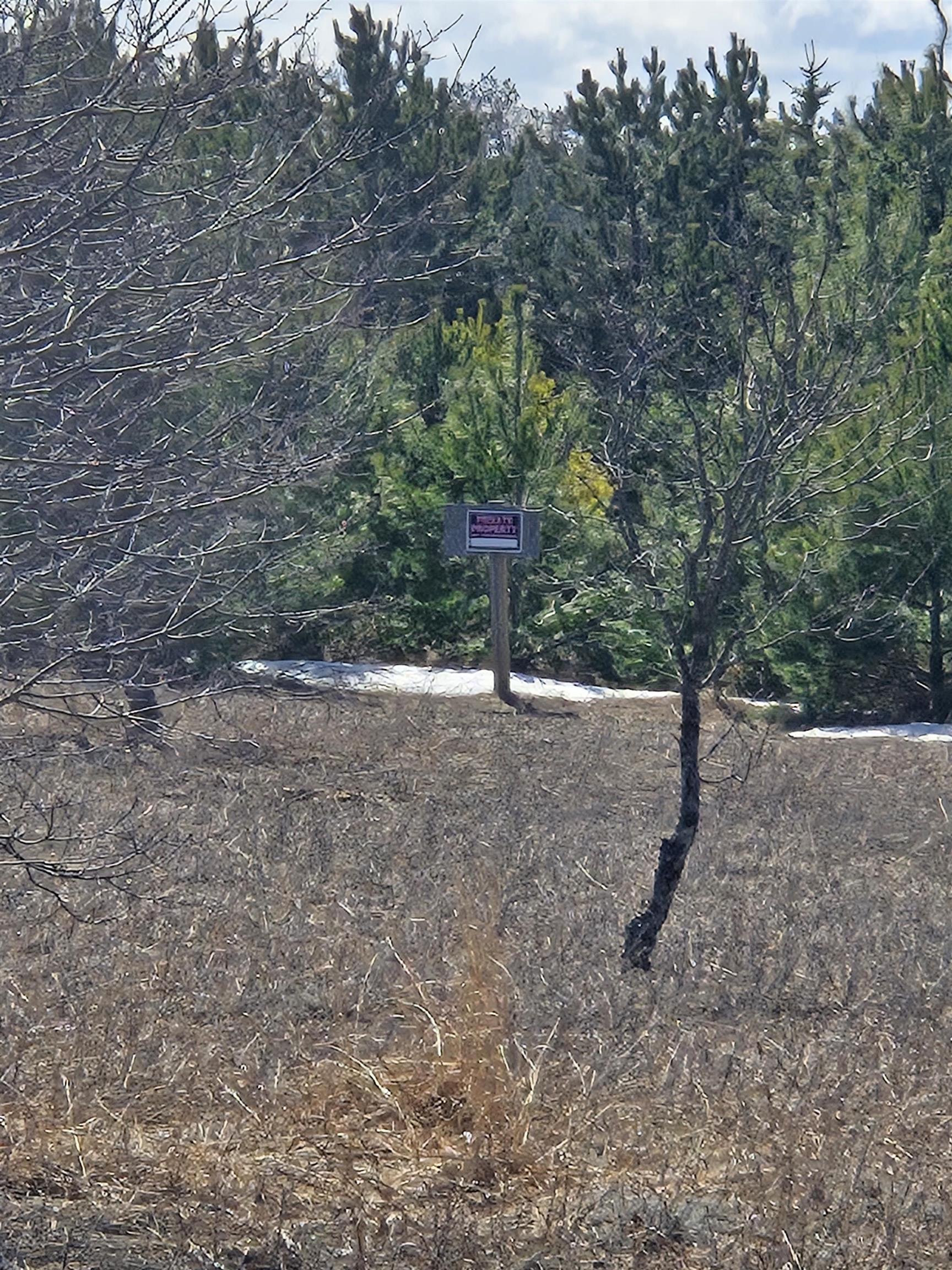 B Johnson Road, Unit LOT: B Mancelona, MI 49659 - Photo 13 of 48
