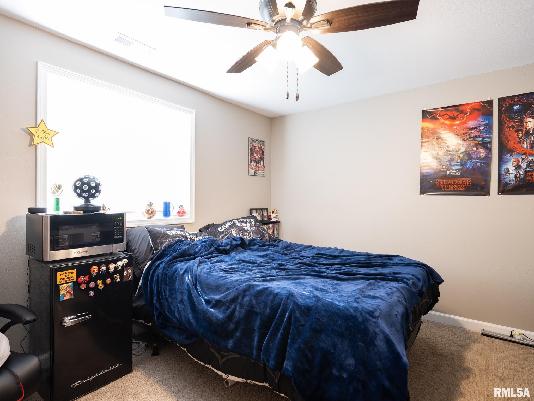 180 East Miller Road Edelstein, IL 61526 - Photo 42 of 51 Gallery Image 42