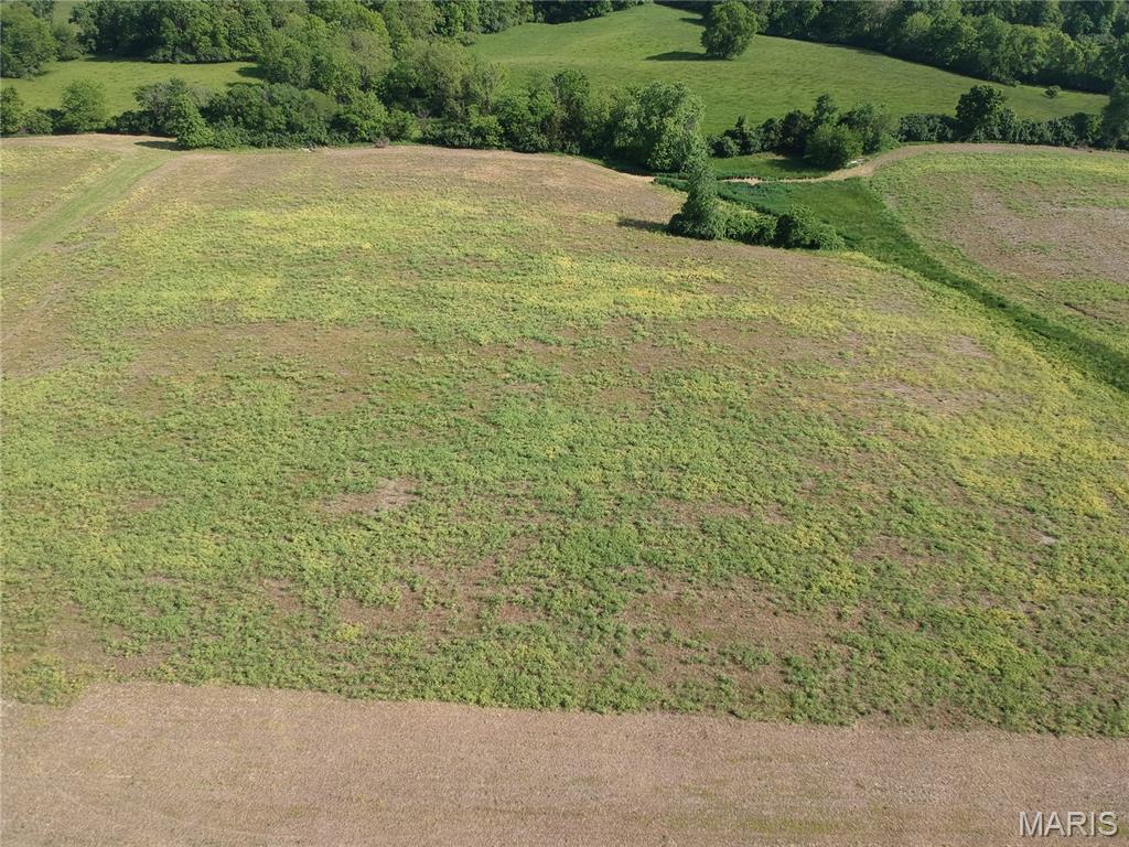 0 Evans Lane Elsberry, MO 63343 - Photo 11 of 15