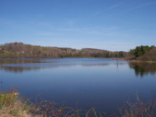 Lot 6 Tobin Road Addison, NY 14801 - Photo 1 of 1