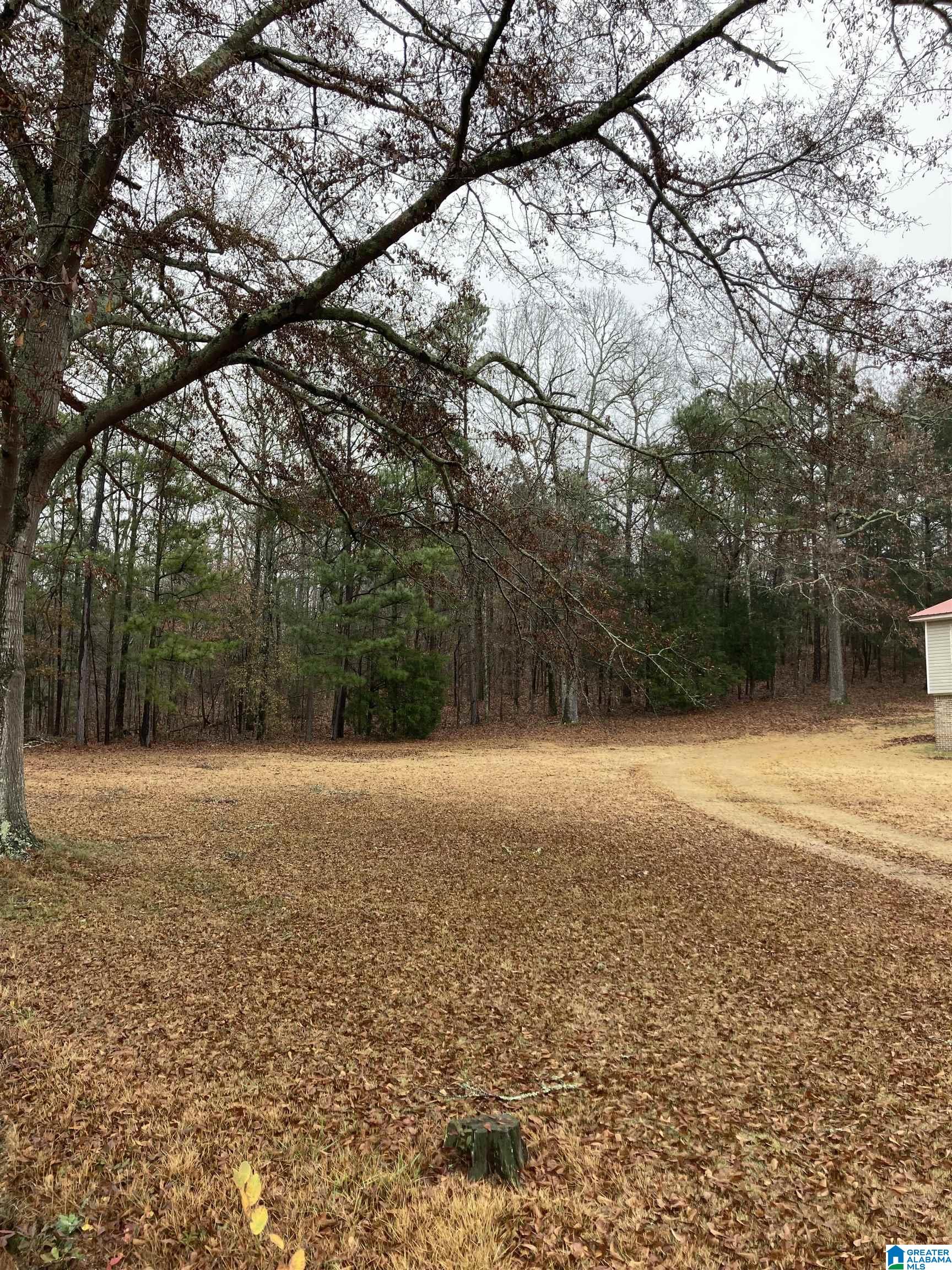 3675 Providence Road Talladega, AL 35160 - Photo 26 of 30
