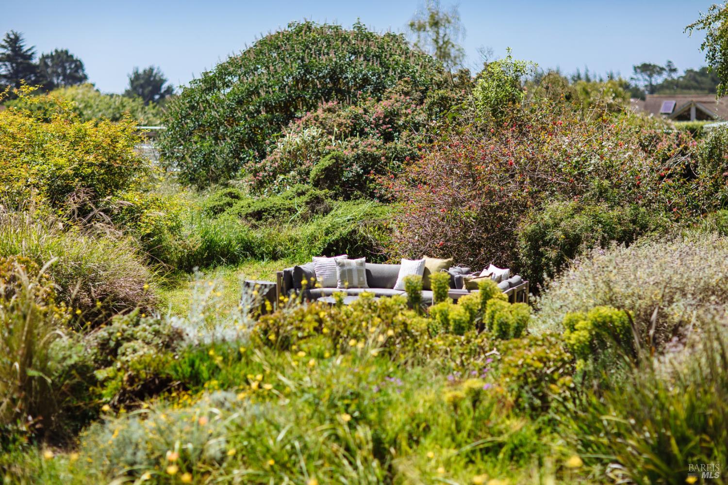 585 Evergreen Road Bolinas, CA 94924 - Photo 42 of 58
