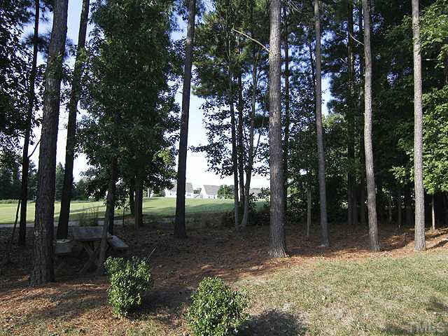3805 Cathedral Bell Road Raleigh, NC 27614 - Photo 23 of 24 If you look very carefully, you can see the flag on the green. This is the view from your back door.
