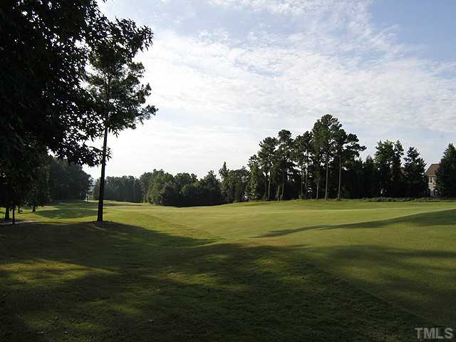 3805 Cathedral Bell Road Raleigh, NC 27614 - Photo 24 of 24 Here's the view from greenside, behind your new home!