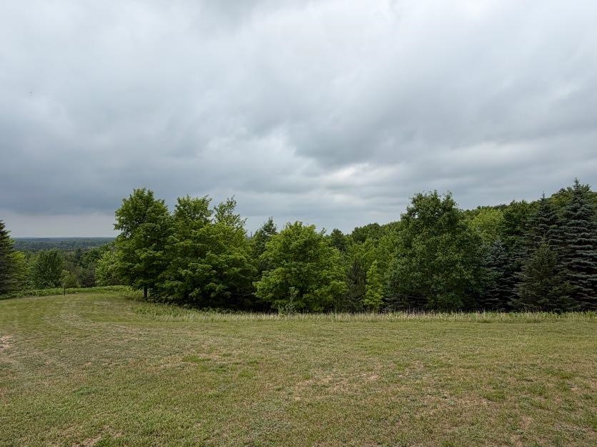 2324 Krumlauf Road Southeast Kalkaska, MI 49646 - Photo 52 of 53