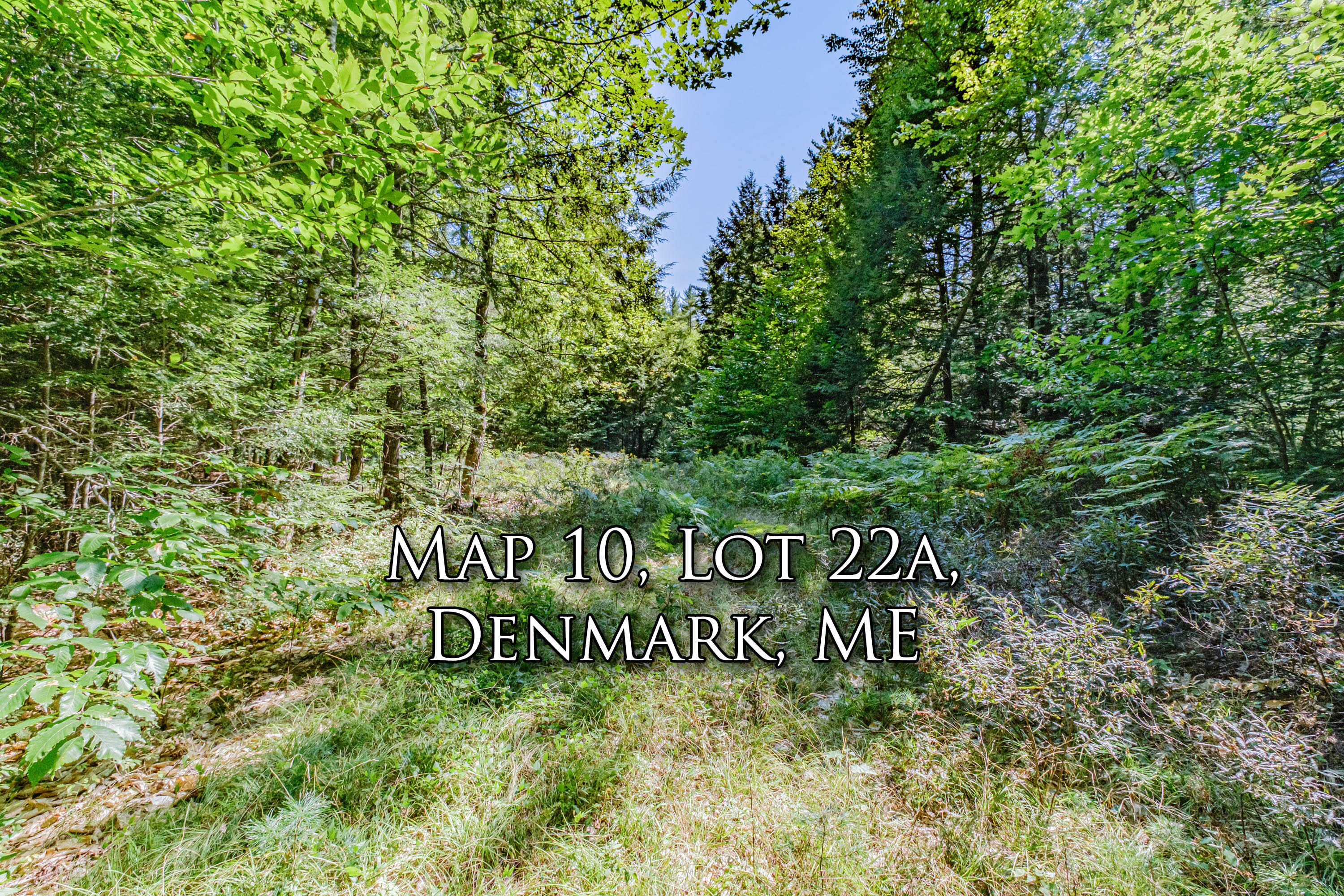 Lot 22 A Forest Denmark, ME 04022 - Photo 1 of 11 2271990C-5FD1-4C8B-8946-8B3CCF8FC378