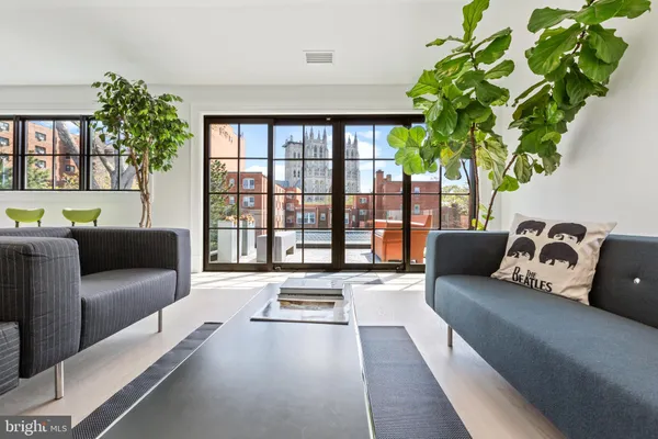 a living room with furniture and a potted plant