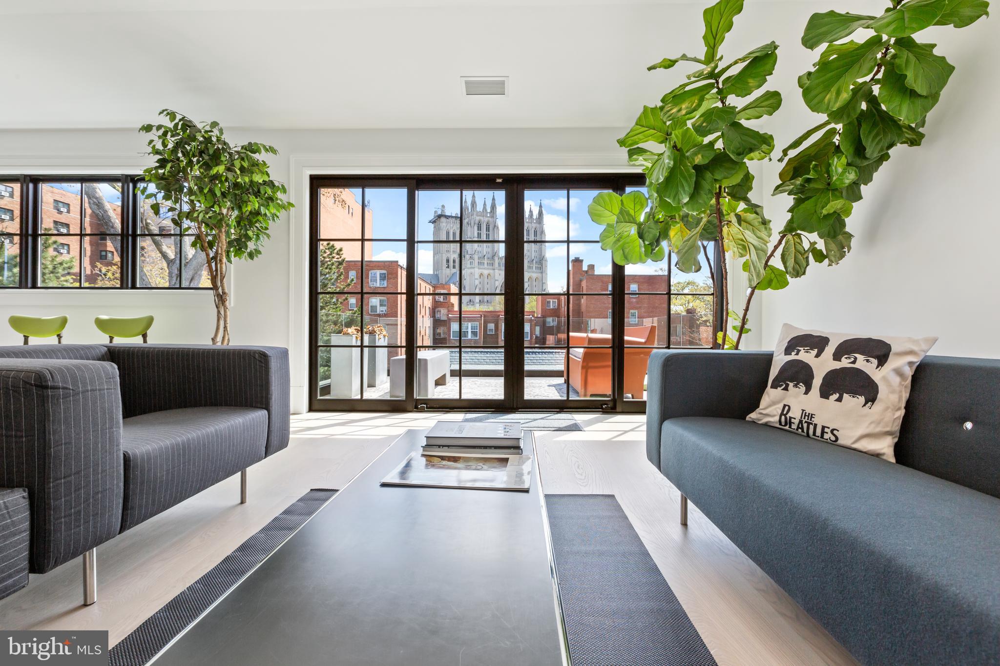 3119 38th Street Northwest Washington, DC 20016 - Photo 13 of 20 a living room with furniture and a potted plant