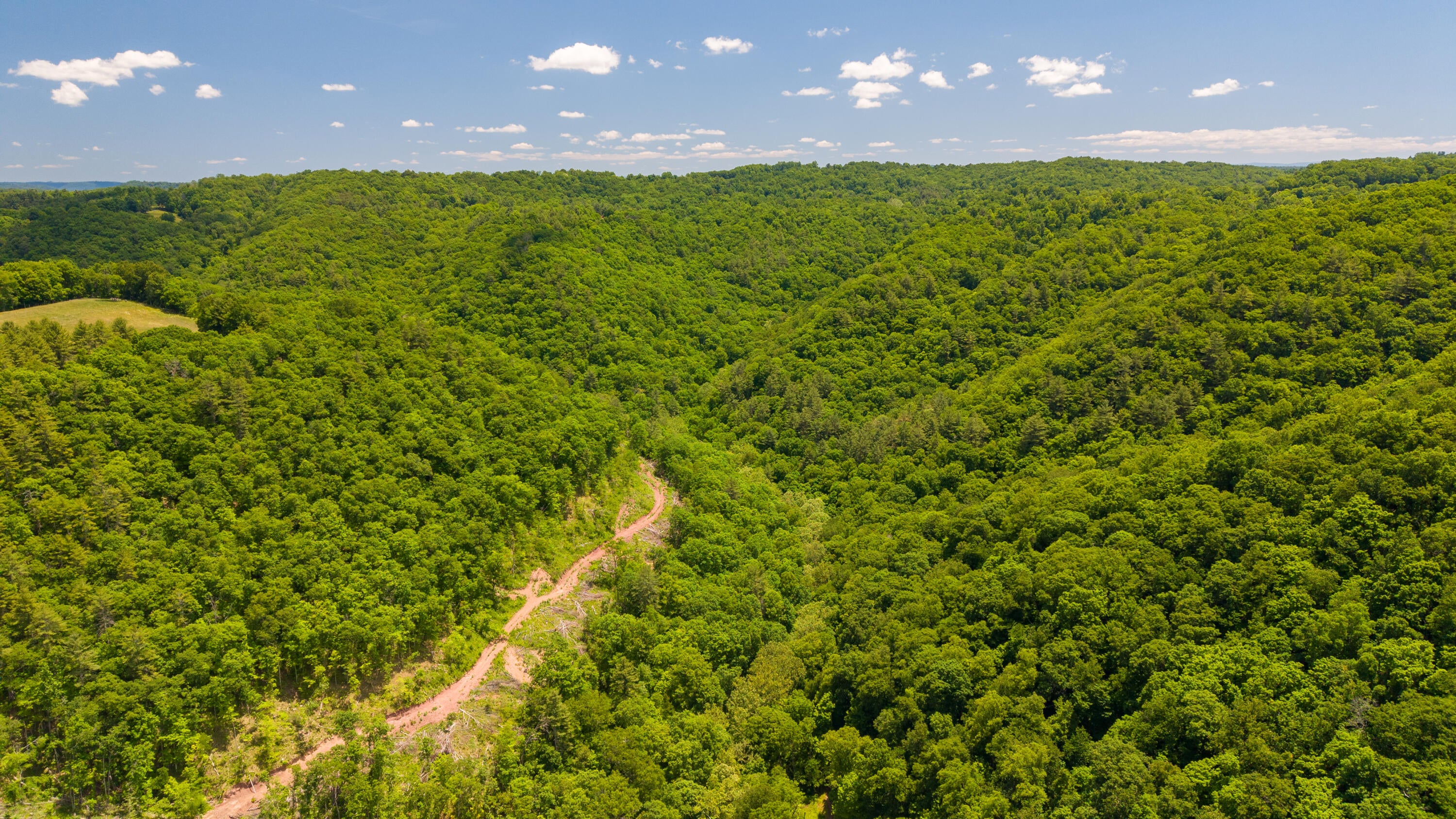 Ellison Ridge Jumping Branch, WV 25969 - Photo 24 of 26 Gallery Image 24