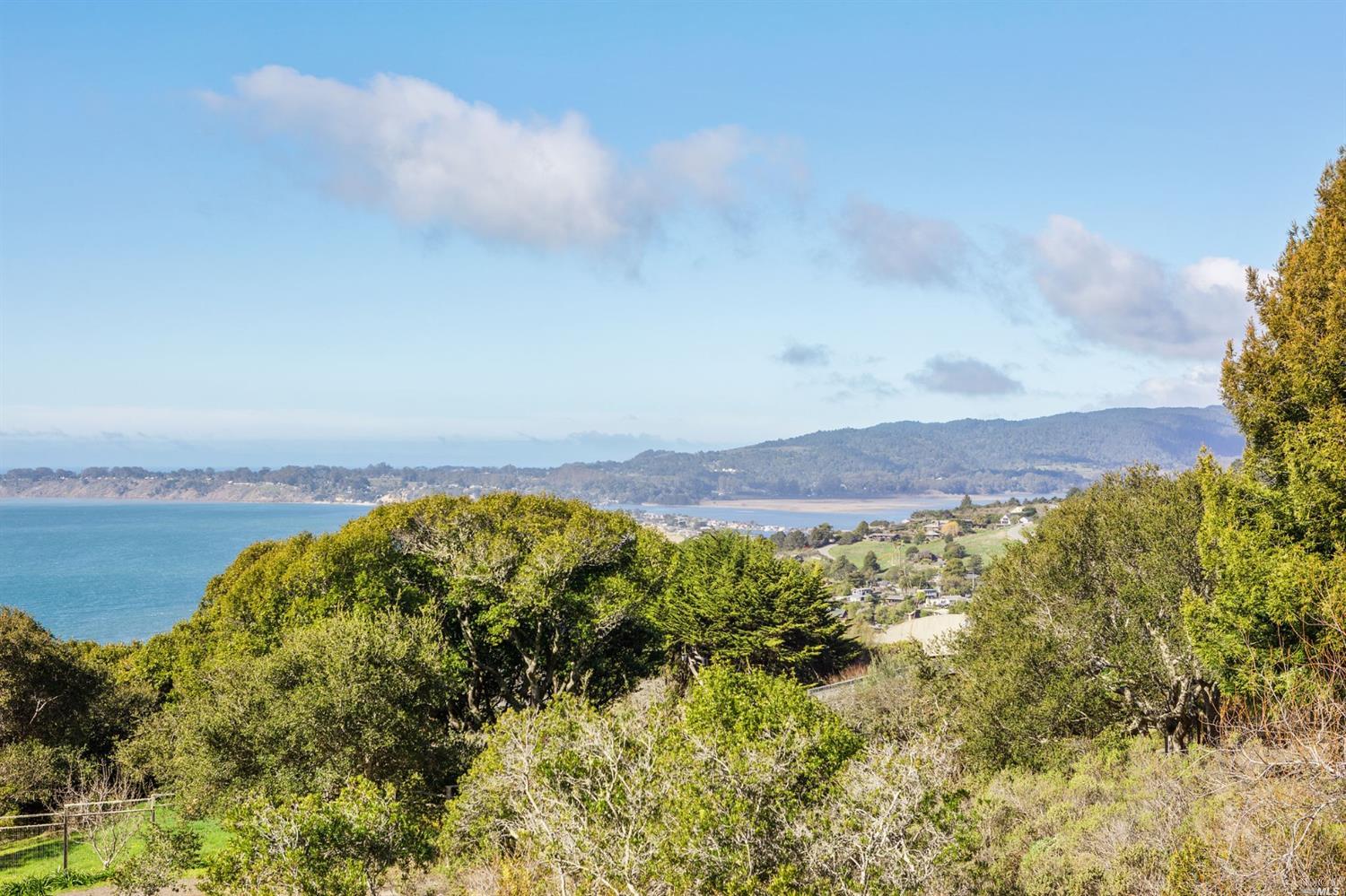 6976 Panoramic Highway Stinson Beach, CA 94970 - Photo 87 of 92