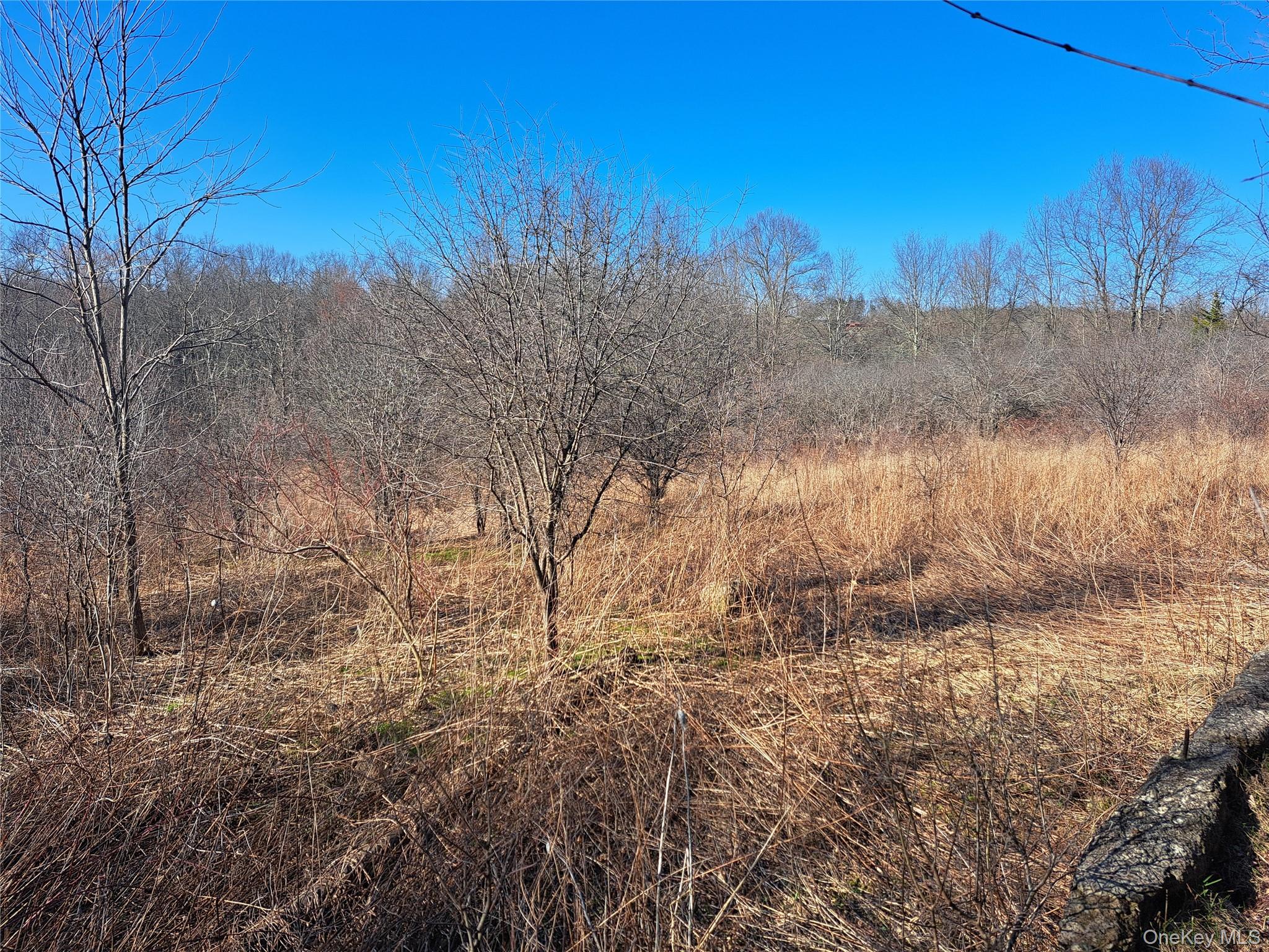 Tbd Kiernan Road Campbell Hall, NY 10916 - Photo 3 of 6 a view of a dry yard with trees
